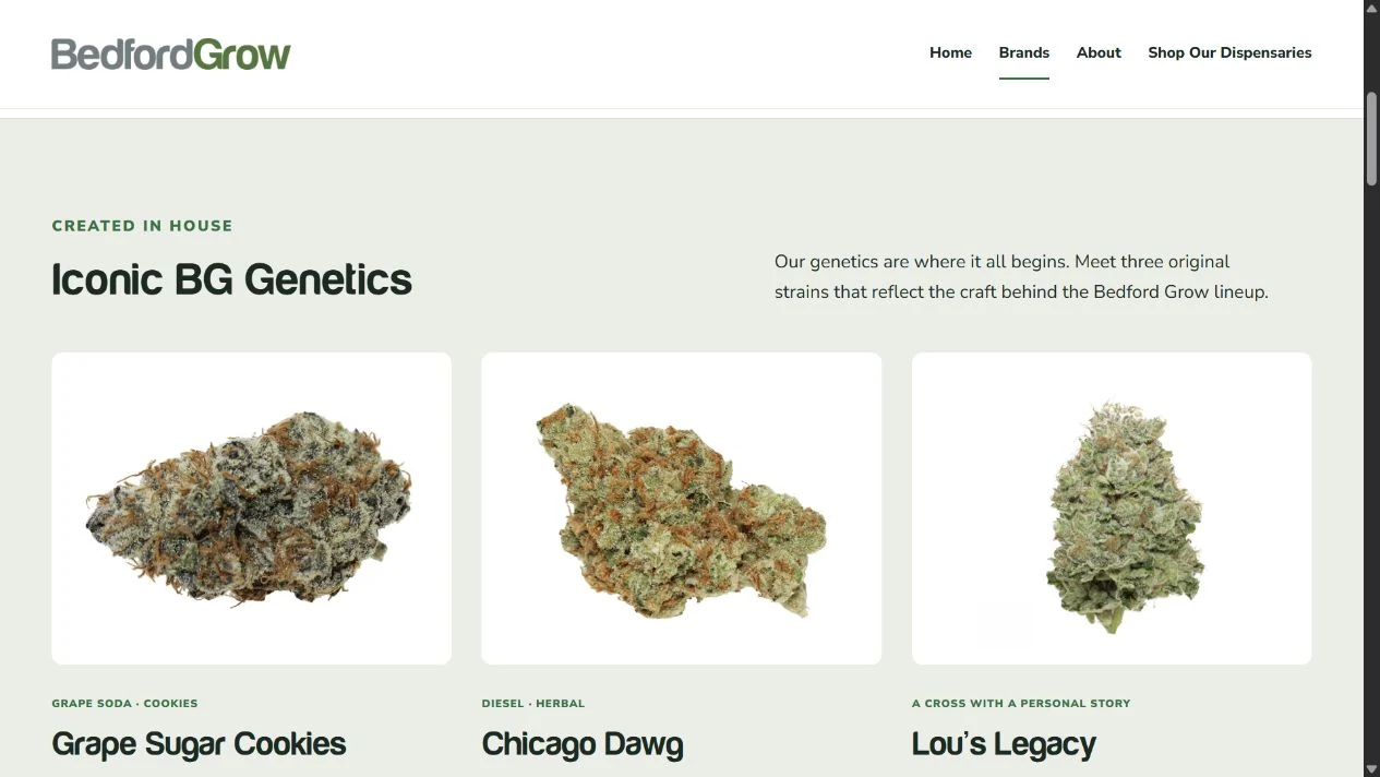 Bedford Grow’s Iconic BG Genetics section featuring Grape Sugar Cookies, Chicago Dawg and Lou’s Legacy.