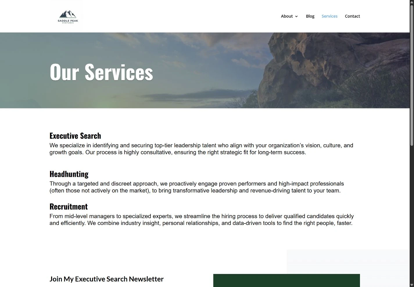 Saddle Peak Ventures service page explaining executive search, headhunting and recruitment.