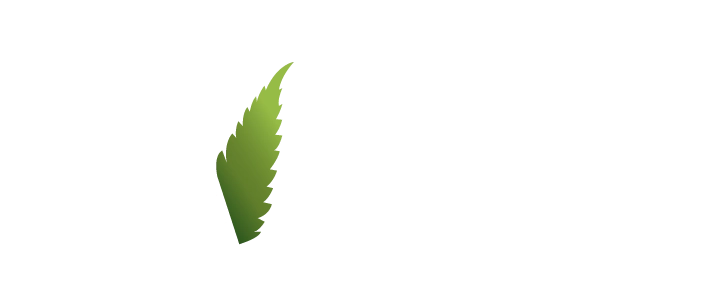 AV Social Strategies